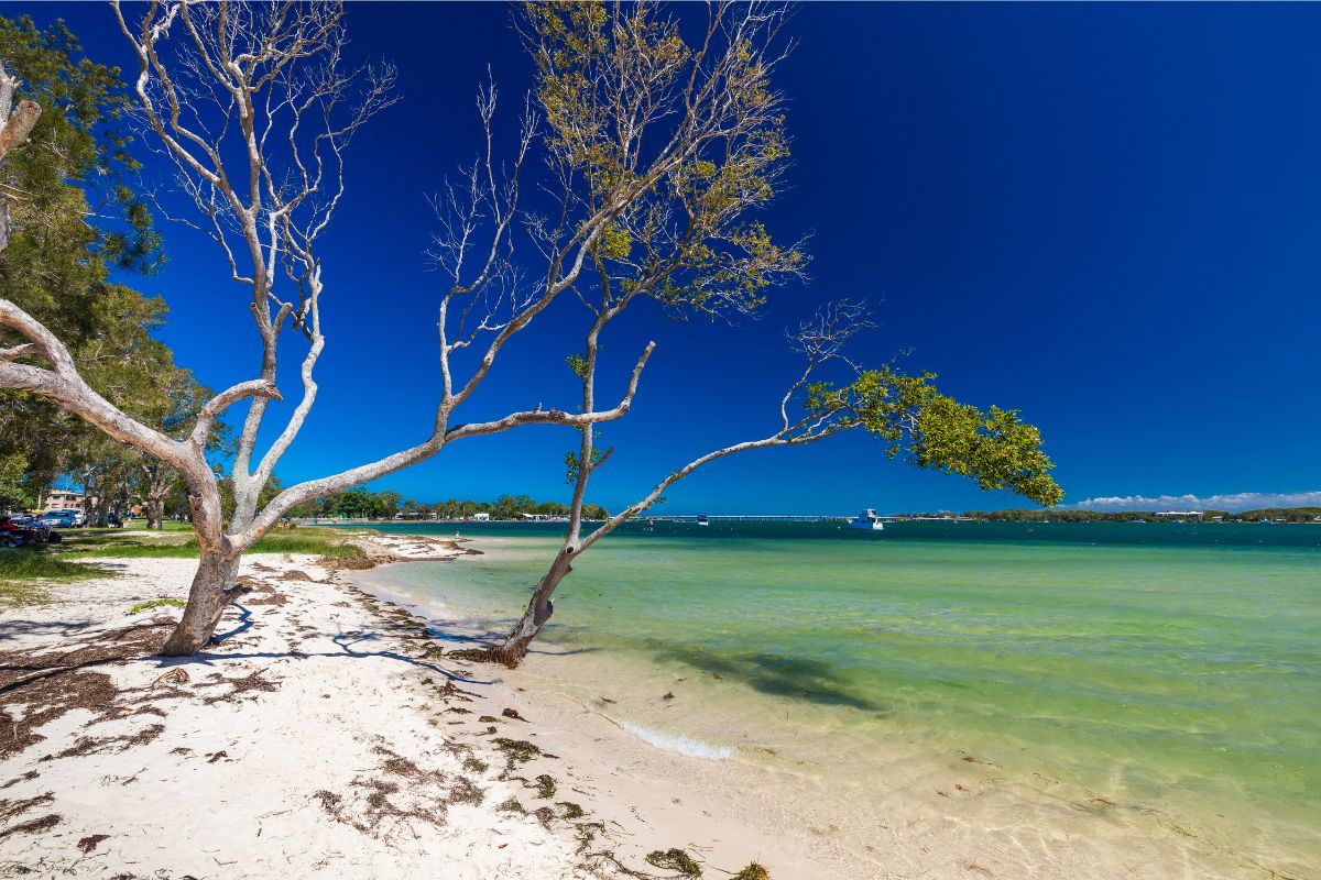 Winnebago-Blog-Bribie.jpg Winnebago-Blog-Bribie.jpg