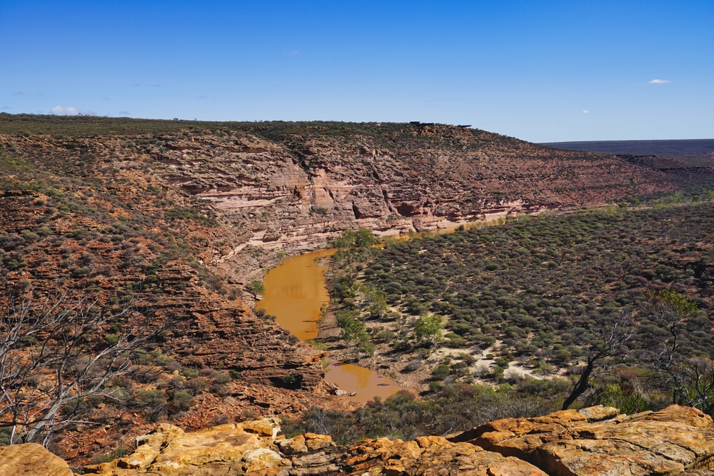 image6.jpg image6.jpg