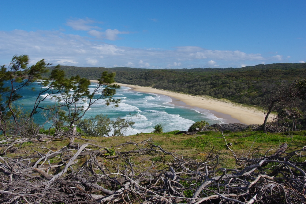 image9.jpg image9.jpg