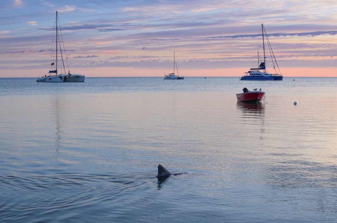 Perth to Monkey Mia Road Trip | RV Stops & Travel Tips