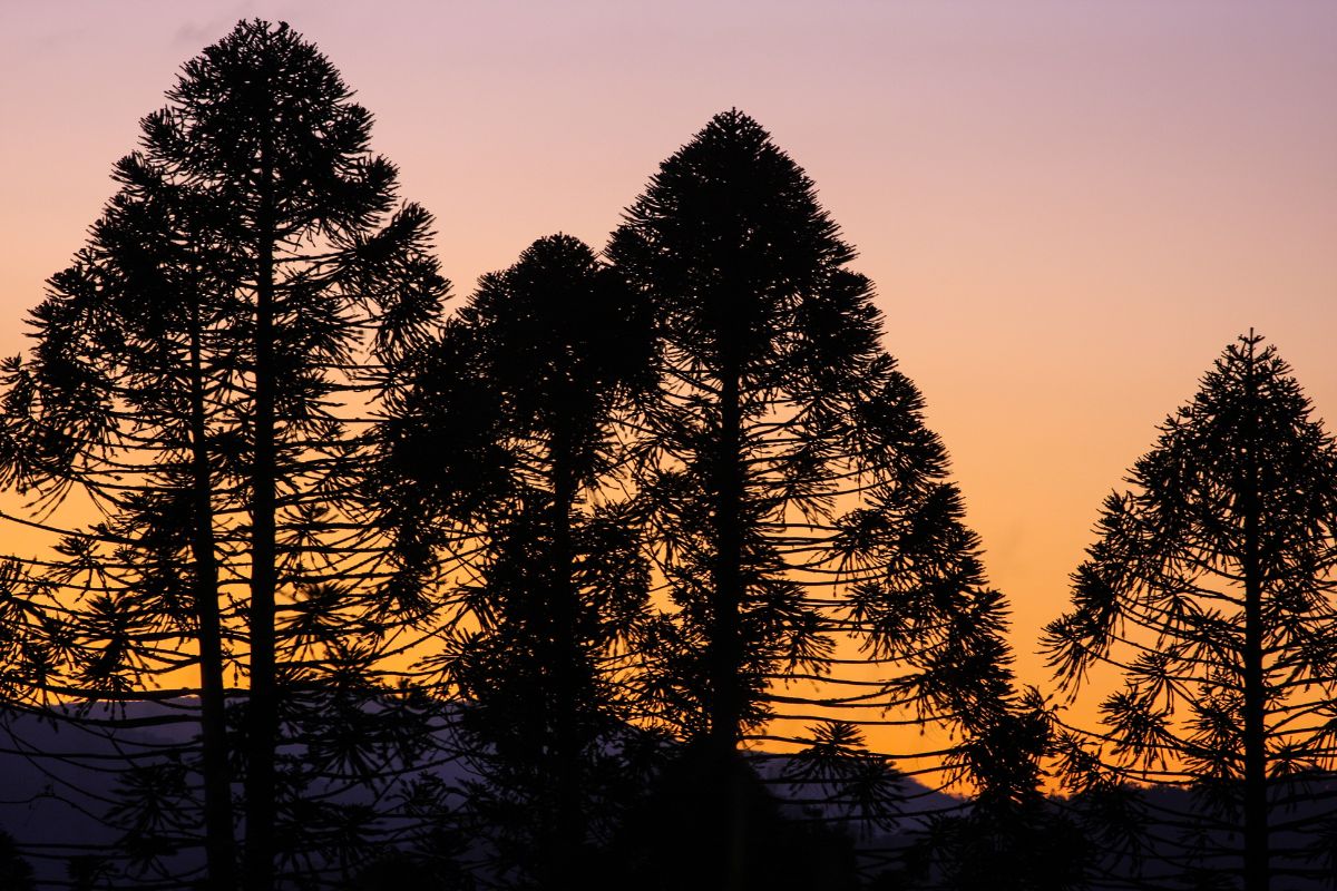 Winter Camping in Queensland